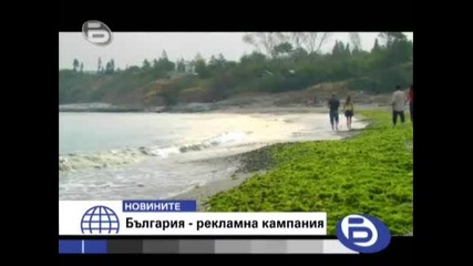 btv Вечерни Новини в 19:30 - 24.02.2008 [high Quality]
