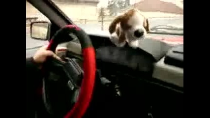 Moskvich 21412 engine sound and driving 