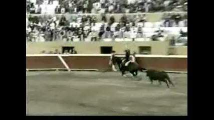 Horse Power