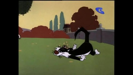 Sylvester - Birds Of A Father 