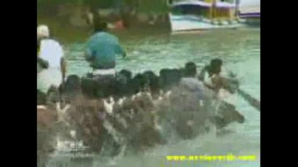Състезание С Лодки Луди Луди