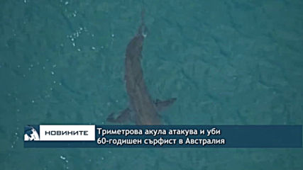 Триметрова акула атакува и уби 60-годишен сърфист в Австралия