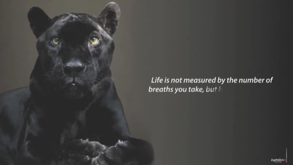 Best Inspirational Video Ever