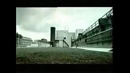 David Belle