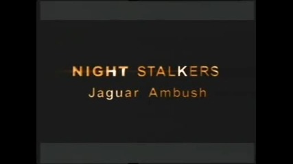 Хищници в нощта: Засадата на ягуара