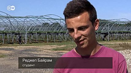 Какво ще правят без българските гастарбайтери?