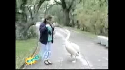 Този Смешен Ли Е ? 
