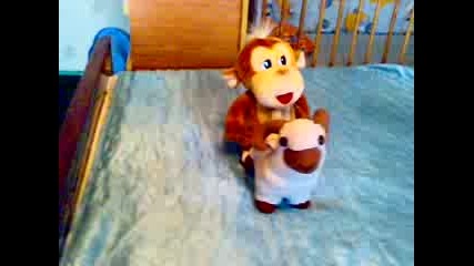 crazy monkey