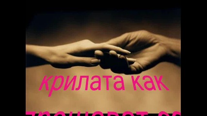 Ти виждал ли си как умира птица