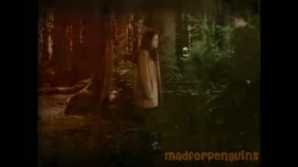 Edward & Bella - New Moon
