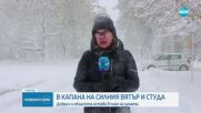 Силните снеговалежи блокираха страната