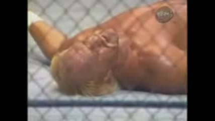 Wwe Hogan Vs Big Boss Man