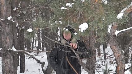 Валерий Палаускас - Белый Снег