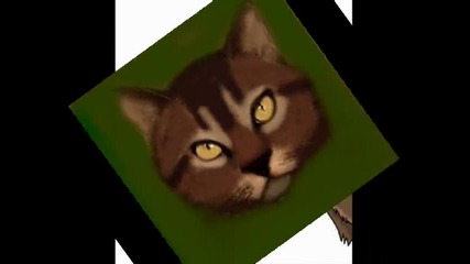 warrior cat tirerstar