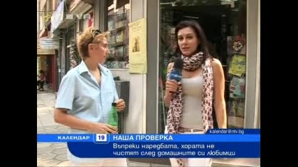 Диана Любенова - Звезден репортер 19.09.2010