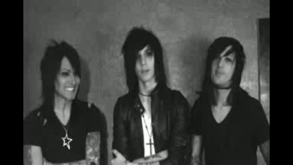 Bvb Update Video Blog