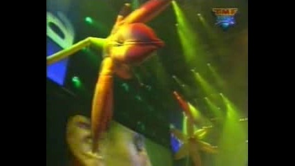 Vengaboys Were going to ibiza (live).flv