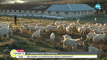 Видео - (2022-02-05 08:20:12)