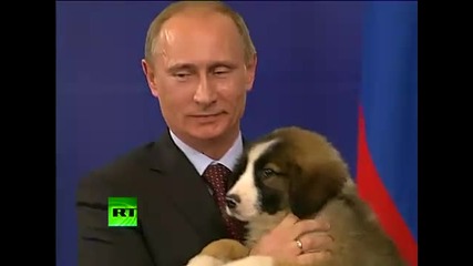 A Dogs Heart - Pet lover Putin needs name for fluffy puppy 