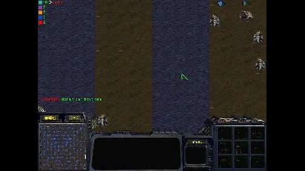 Starcraft Multiplayer