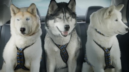 Бартер: Шейна за кола Реклама на Suzuki