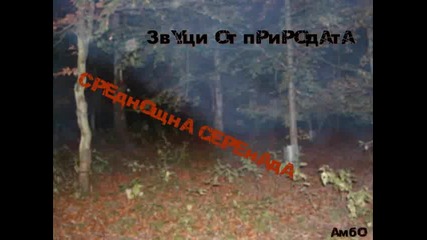 Звуци от природата - Среднощна серенада 