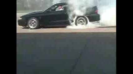 Mustang Cobra And One Of The Best Burnouts