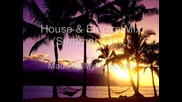 трепач* House Electro Mix (summer 2011)