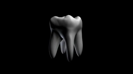 Регенерация на зъб tooth Regeneration