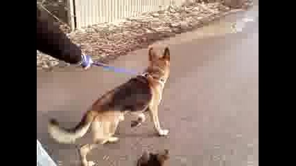 Nick Нок