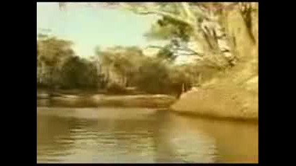 1983 Между два бряга - All the rivers run