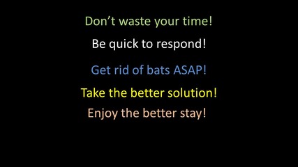 how to get rid of bats