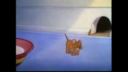 Tom And Jerry: A Tribute