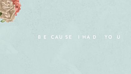 Shawn Mendes - Because I Had You ( Audio )