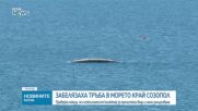 Обеден информационен блок на NOVA NEWS (28.07.2026)