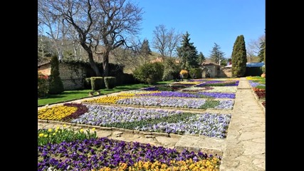 Пролет в Университетската ботаническа градина - Балчик, 3 април 2016 год.