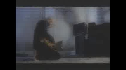 Echobelly - Here Comes The Big Rush