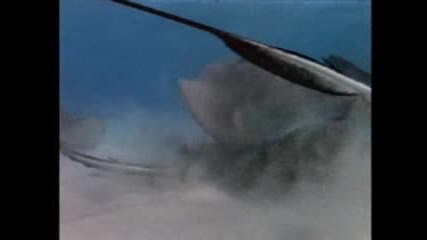 Stingray City - - National Geographic.flv