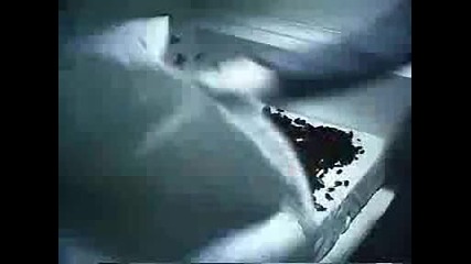 Creepshow Trailer