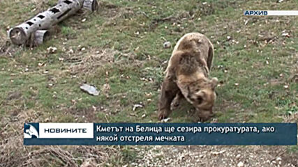 Кметът на Белица ще сезира прокуратурата, ако някой отстреля мечката