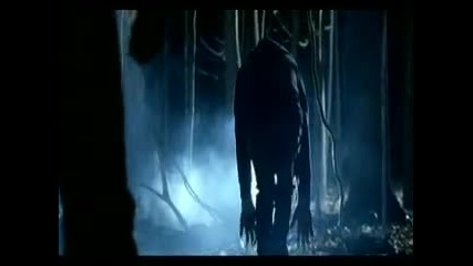 Bullet For My Valentine - Waking The Demon 
