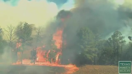 Вижте колко бързо се разпространява горския пожар