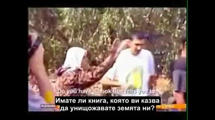 Израелски войници изкореняват маслинови дървета