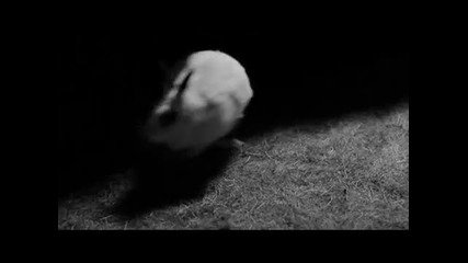 Monyx Coffee - Is Over video ( Високо Качество )