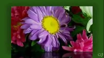 Flowers For You - Relaxing music