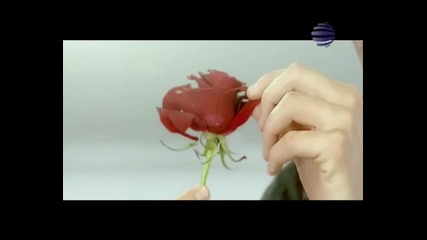 Емилия - Сълза High Quality