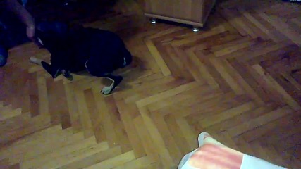 Vid_20141113_221756