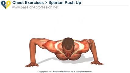 Body area - Chest 12 (pectorals)