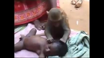 Monkey babysitter 