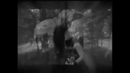 Immanis - A Coffin For The Sun